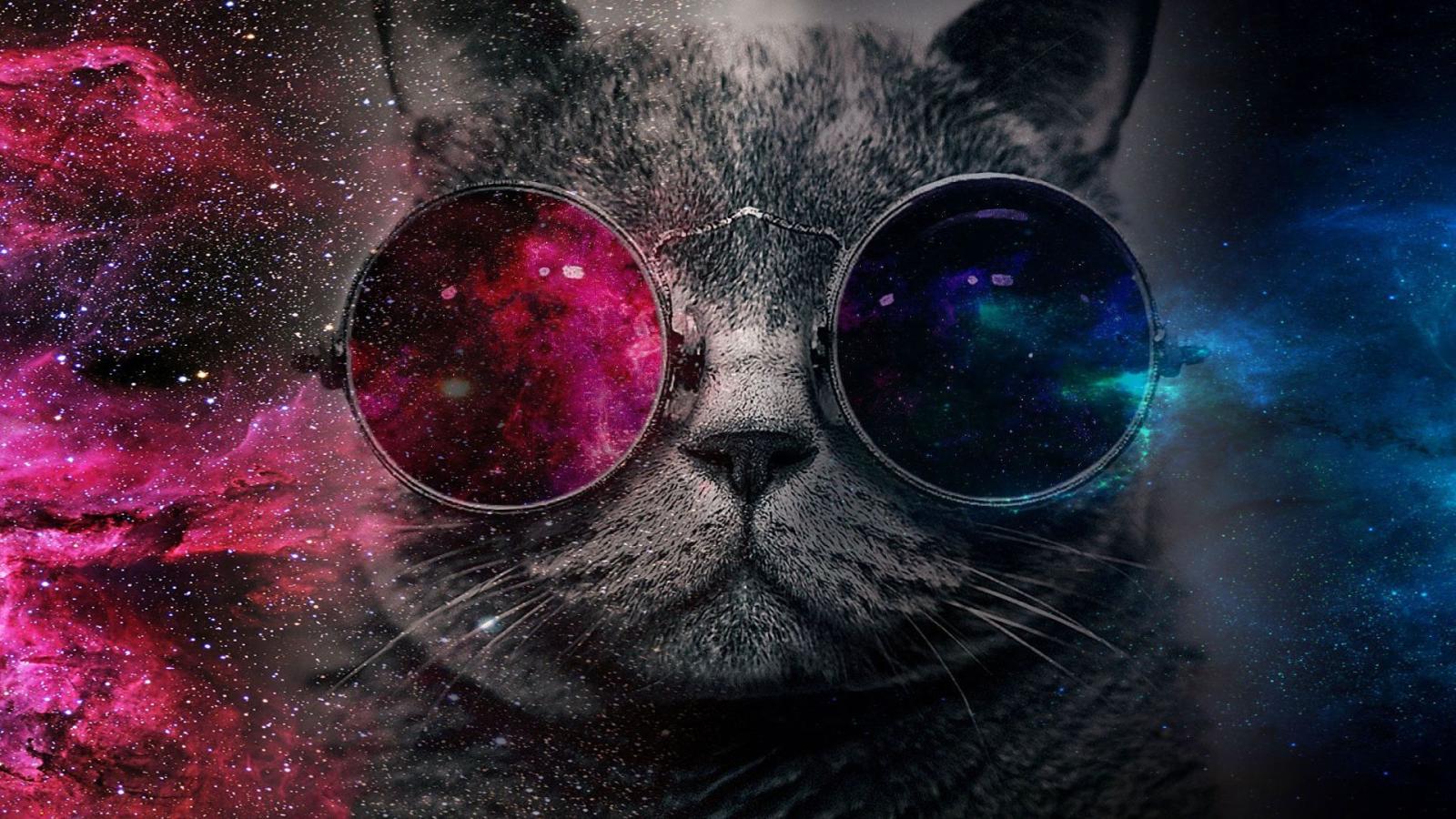 1920x1080 Glasses Cat Galaxy Wallpapers - Top Free Glasses Cat Galaxy