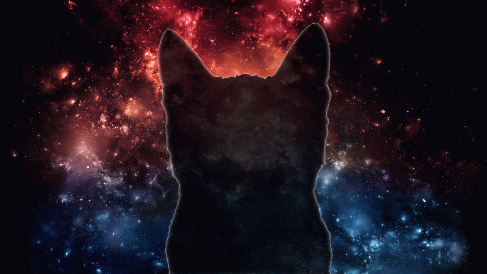 1920x1080 Galaxy Cat Wallpapers