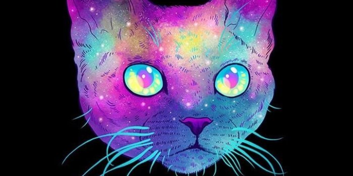 720x1280 Galaxy Cat Wallpapers - Top Free Galaxy Cat Backgrounds