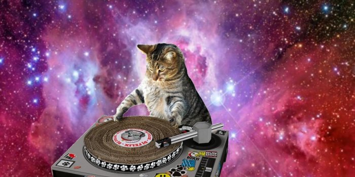 1984x1488 78+ Space Cat Wallpapers on WallpaperPlay