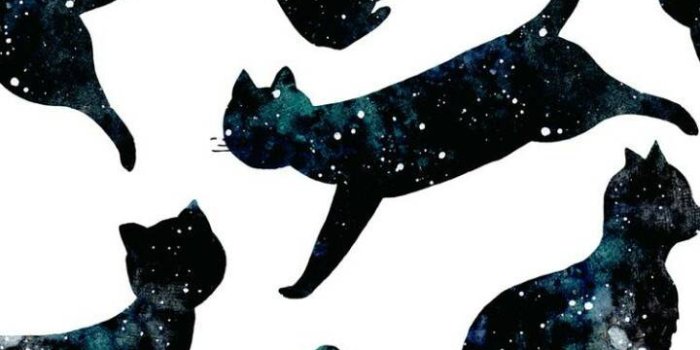720x1280 Wallpaper with galaxy cats uploaded by RangerKatelynn