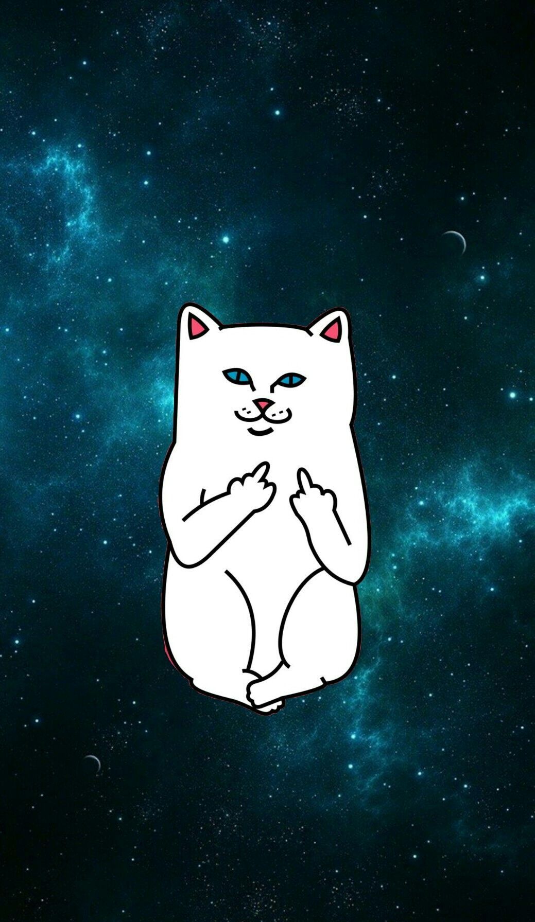 1039x1792 Ripndip iphone wallpaper #ripndip #middle #finger #cat #wallpaper