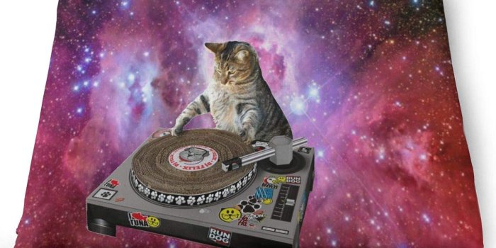 1200x1200 Amazon.com : Ladninag Seat Cushion Galaxy Cat Wallpaper Chair