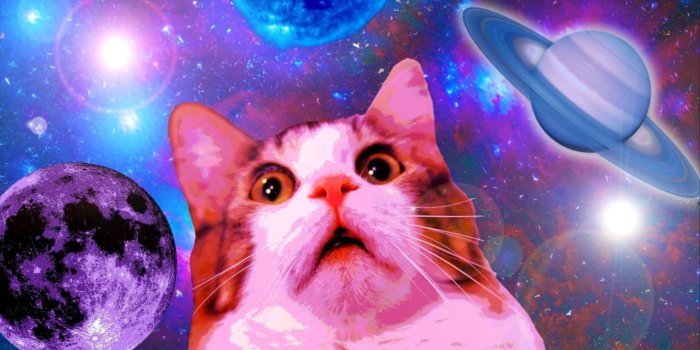 1472x987 Space Cat Backgrounds | The Champion Wallpapers