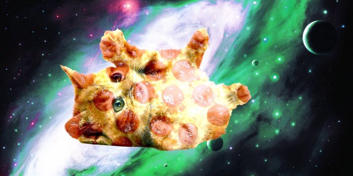 1920x1080 Space Cats HD Wallpaper (78+ images)