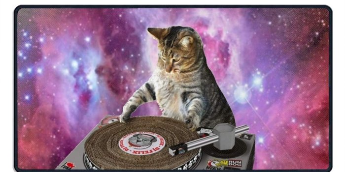 1500x1104 Amazon.com : Unique Galaxy Cat Wallpaper Printed Mousepad Stitched