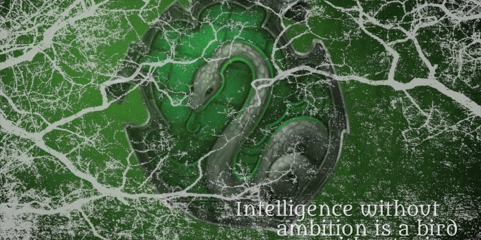 2560x1440 Harry Potter HD Wallpaper | Background Image | 2560x1440 | ID:556513