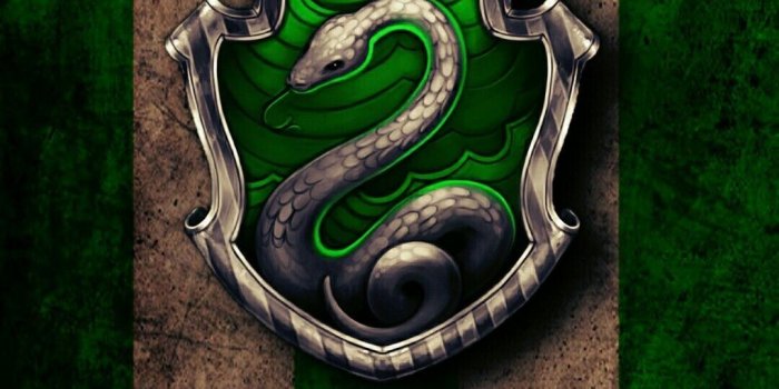 1080x1920 Custom Slytherin Wallpaper - Slytherin Wallpaper Hd Phone, Hd