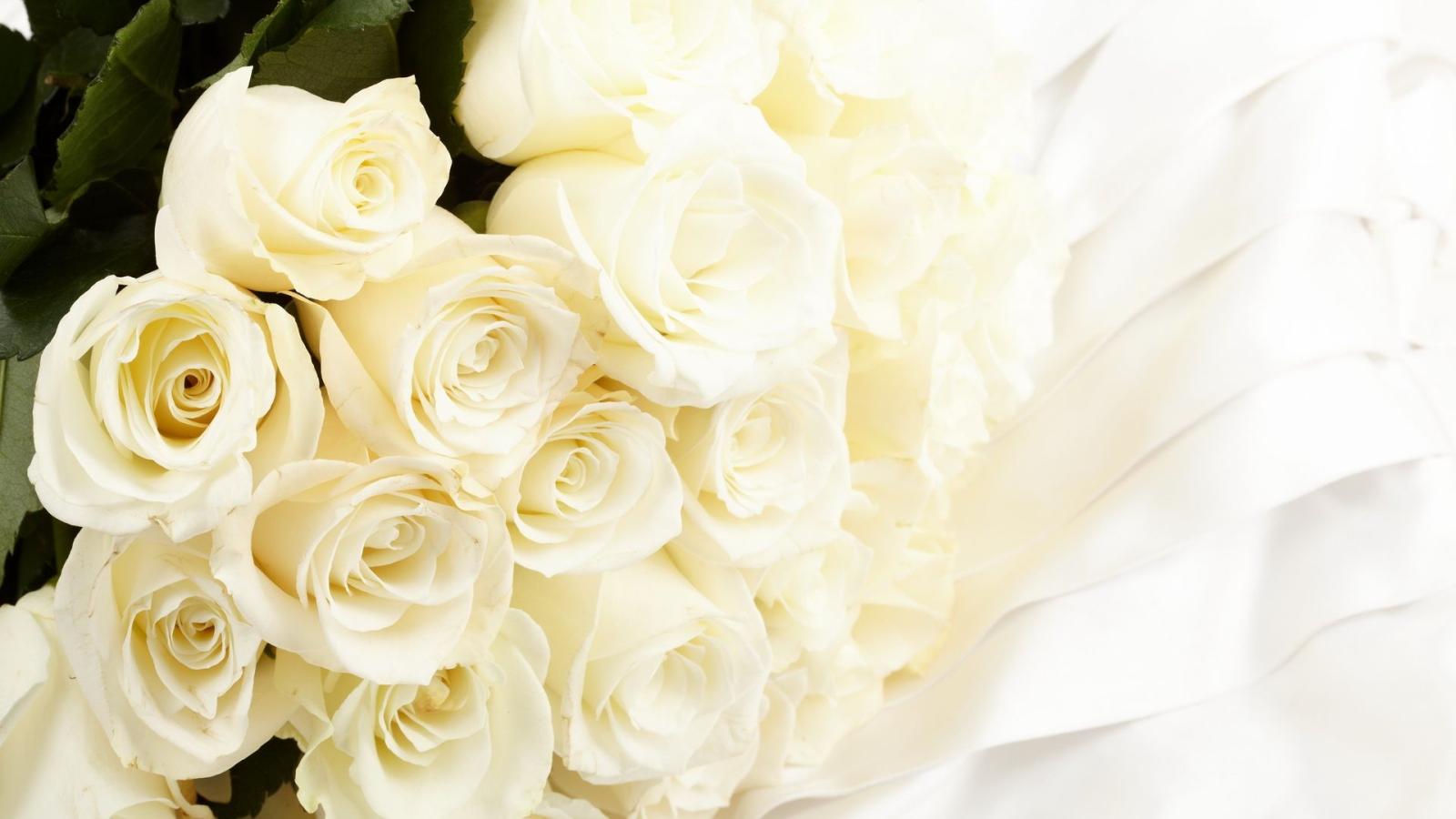 1920x1080 White Rose - White Wallpaper (34727328) - Fanpop