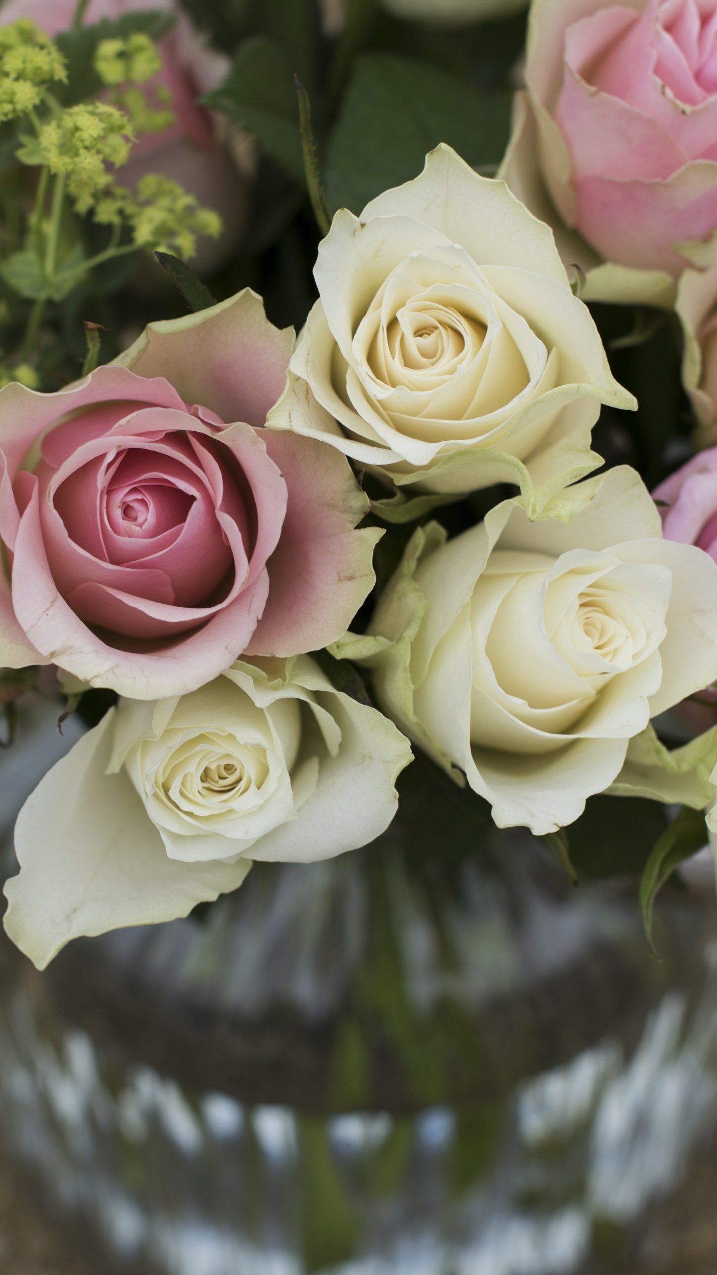 1440x2560 Pink & White Roses in a Vase Wallpaper - iPhone, Android & Desktop