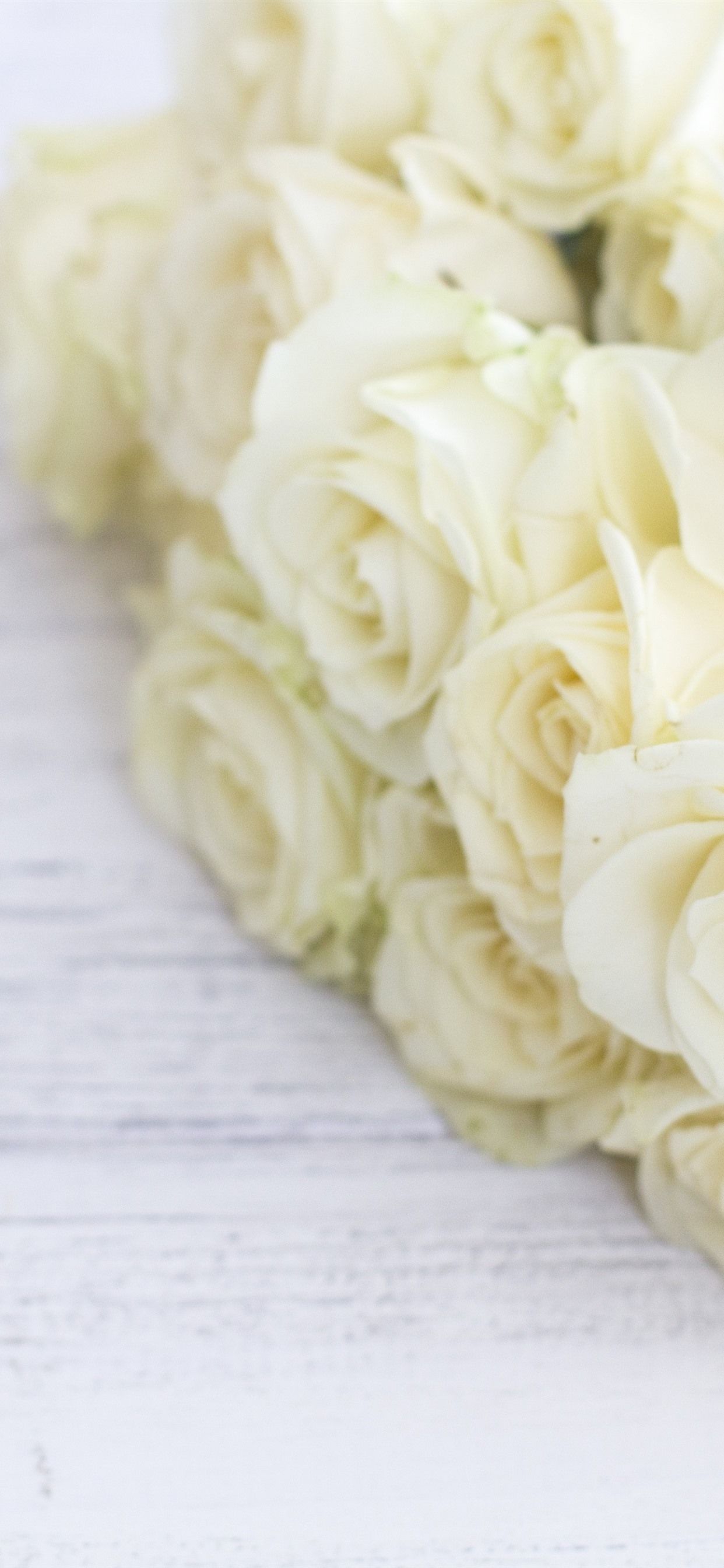 1242x2688 Wallpaper White roses, bouquet, flowers 5120x2880 UHD 5K Picture, Image