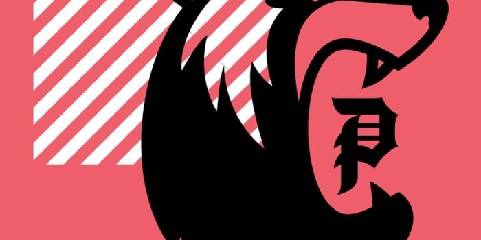 1080x1920 Thrasher Iphone Wallpaper - Primitive Wallpaper Iphone X Free