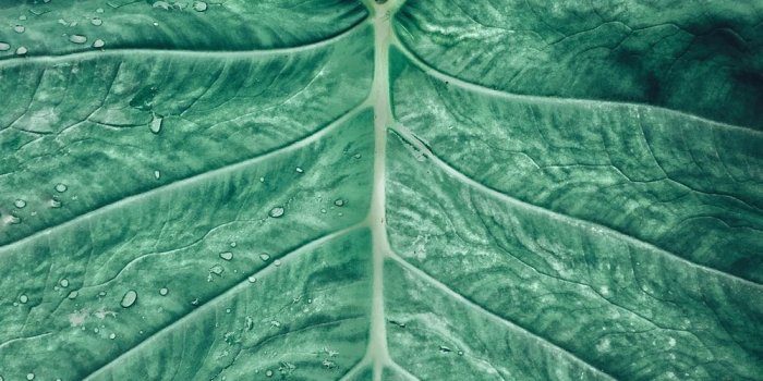 1000x1221 Backgrounds 2019 | 100+ best free background, blue, wallpaper and