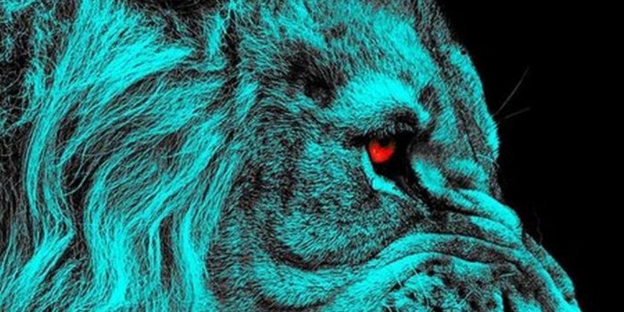 1080x1920 Teal Wallpaper For Phone | 1 | Teal wallpaper, Hd phone wallpapers