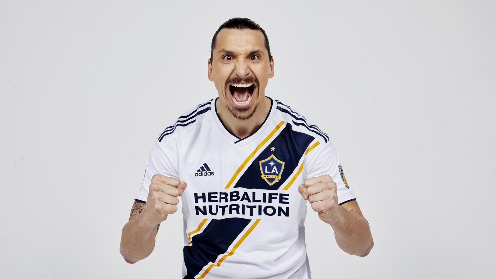 2560x1440 New Zlatan Ibrahimovic Wallpaper La Galaxy | Soccer Wallpaper