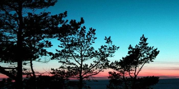 1080x1920 Android Wallpaper Nature - Best Android Wallpapers | Prista