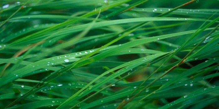 1140x713 50 Best HD Wallpapers for Ubuntu – Linux Hint