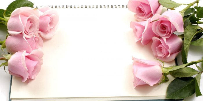 2560x1600 60+ Rose Flowers Wallpapers on WallpaperPlay