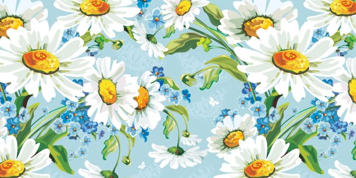 1920x1080 Daisy wallpaper | 1920x1080 | #38040