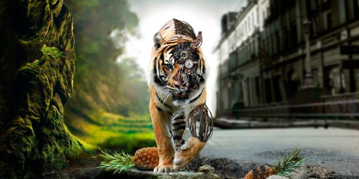 1920x1080 73+ Amazing Hd Wallpapers on WallpaperPlay