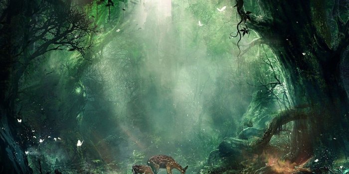 1280x1024 1280x1024 Fantasy Wallpaper HD Desktop Wallpapers Cool Images