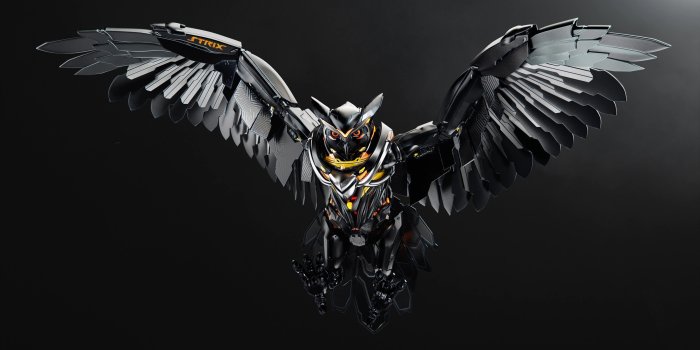 3840x2161 65+ Owl 3D Amazing Wallpapers - Download at WallpaperBro