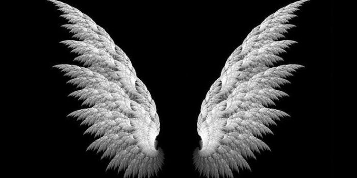 736x1377 Black Wallpaper Free > Yodobi