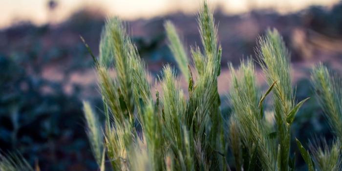 1920x1200 Featured Wallpapers - Windows Help