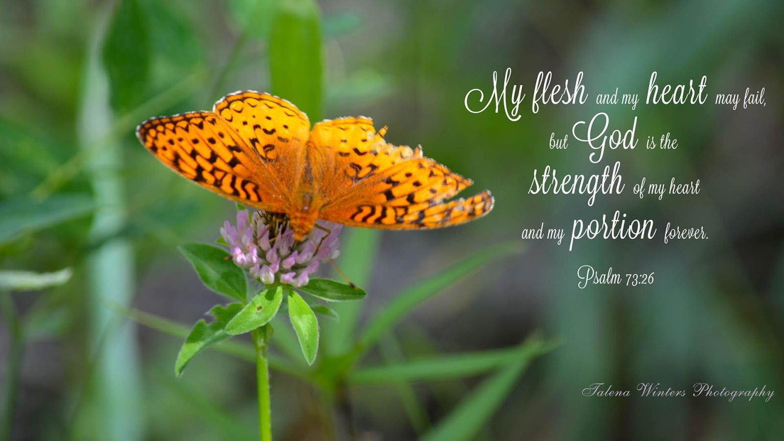 1920x1080 Desktop Wallpapers — Talena Winters