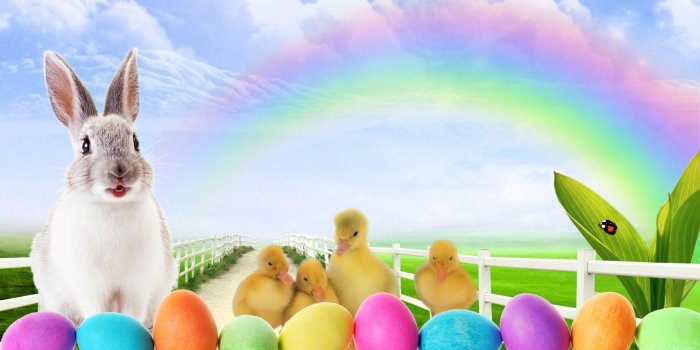 1920x1080 46+] Easter Bunnies Wallpaper on WallpaperSafari