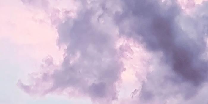 736x1308 24 Wallpapers To Style Your New Gold iPhone Xs | Iphone wallpaper