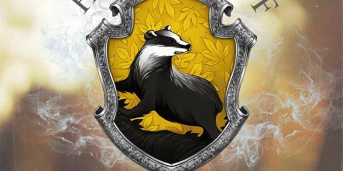750x1344 Hufflepuff wallpaper | Potter | Harry potter tumblr, Cute harry