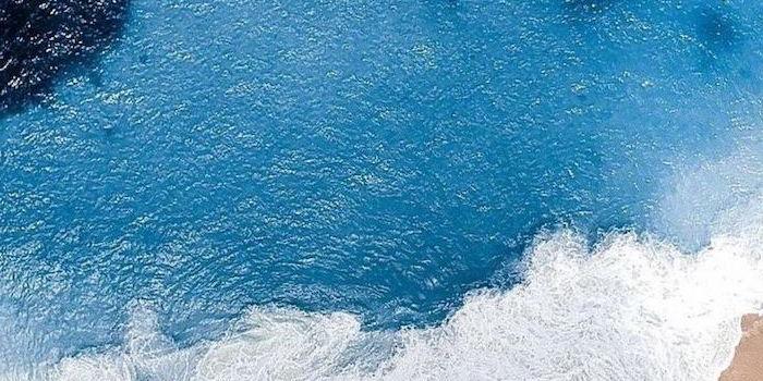 700x1583 ▷ 1001 + ideas for cute wallpapers that bring the summer vibe