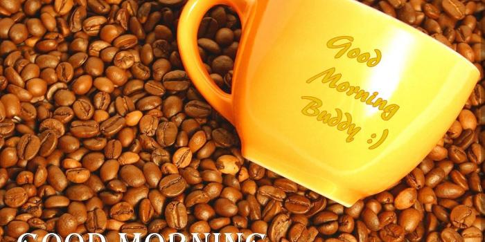 1440x900 Good Morning Coffee Beans Hd Wallpapers – HAPPY WONDER WORLD