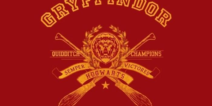750x1334 Gryffindor Wallpapers - Top Free Gryffindor Backgrounds