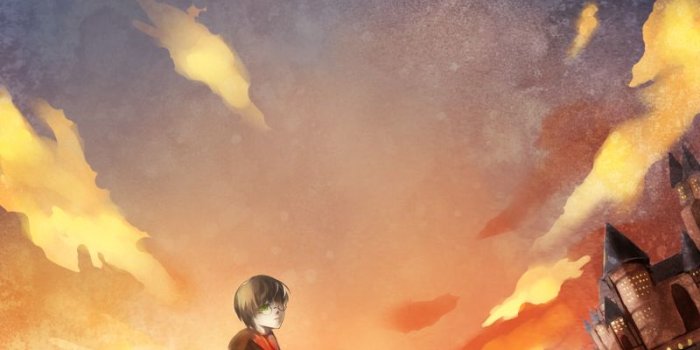 800x1162 Gryffindor House - Harry Potter - Mobile Wallpaper #1125483