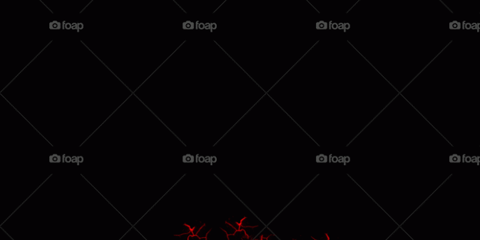 720x1280 Gryffindor Wallpaper - Floral Design Free Wallpaper & Backgrounds