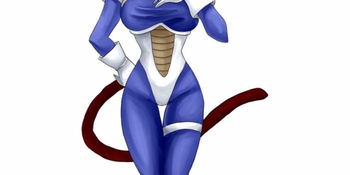 920x1252 Supreme Kai Chronoa - Female Dragon Ball Z Art Free PNG Images
