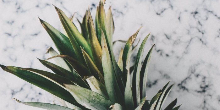 4000x5650 unsplash.com | wallpaper in 2019 | Pineapple wallpaper, Marble