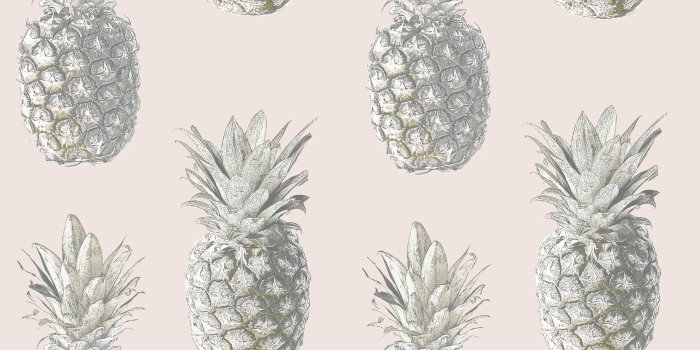 2362x2362 Pineapple Music Wallpapers
