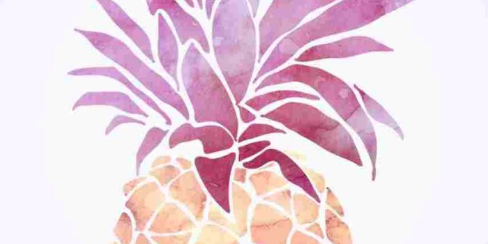853x1517 Rose Gold Pineapple Iphone (#83344) - HD Wallpaper Download