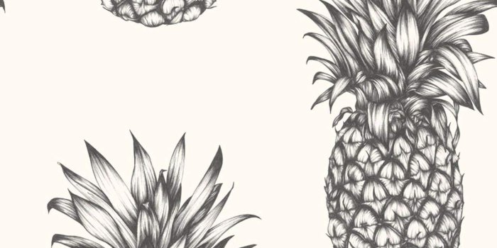 1300x1300 Tropics Copacabana Pineapple Wallpaper - Black & White - Arthouse 690900
