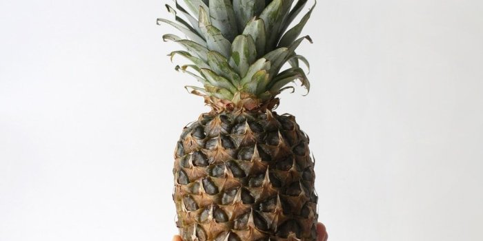 1000x1500 Pineapple on counter | HD photo by Pineapple Supply Co. (@pineapple