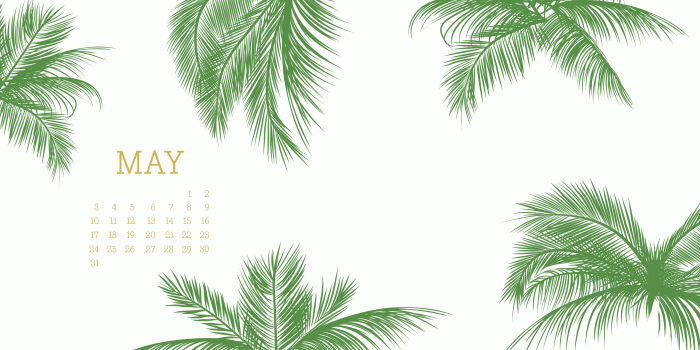 2560x1441 Pink Pineapple Tropical Desktop Wallpaper - Marble Desktop Wallpaper