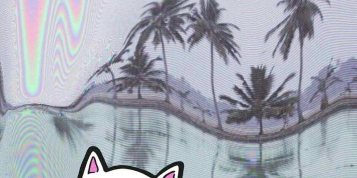 1203x1791 RIPNDIP Wallpapers