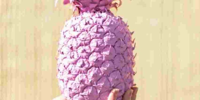 853x1517 Rose Gold Pineapple Wallpaper - (67+) Group Wallpapers