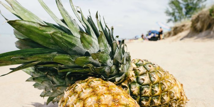 3840x2560 3110729 food, fruits, marble, pineapples, tropical fruits 4k