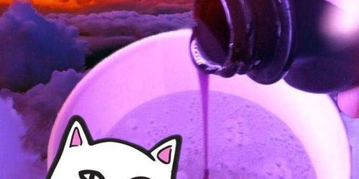 750x1125 Download Ripndip Iphone Wallpaper (69+) - Free Wallpaper For your