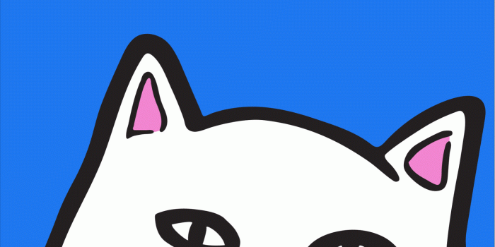 1536x2048 cat #blue #white #black #pink #lordnermal #ripndip #lordnemalcat