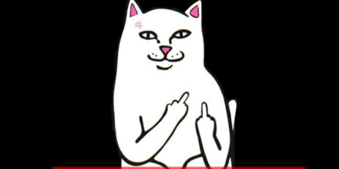 1024x1813 freetoedit lockscreen supreme ripndip cat iphonelockscr...